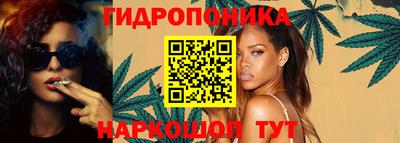 крисы Гудермес