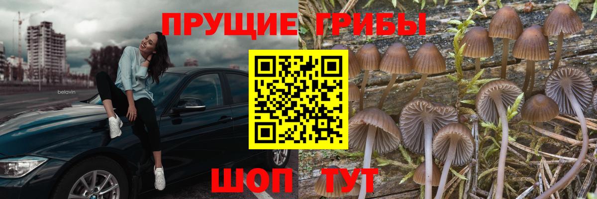 Бугуруслан  Галлюциногенные грибы прущие грибы  Вход с VPN  Псилоцибиновые грибы прущие грибы 